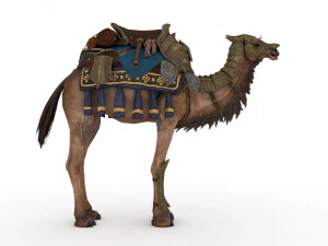 camel rigged and animated 3D Model