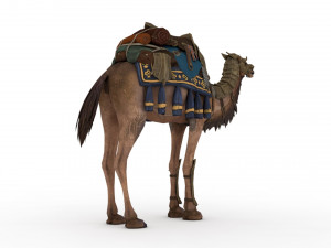 camel rigged and animated 3D Model