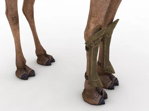 camel rigged and animated 3D Model