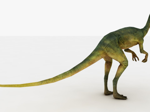 Compsognathus Model 3D