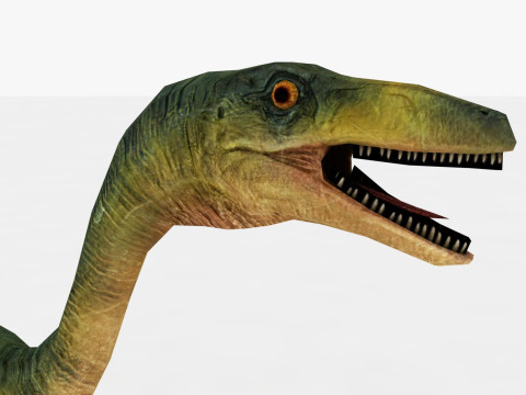 Compsognathus Model 3D