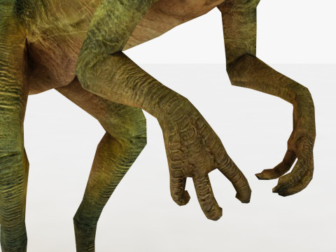 Compsognathus Model 3D