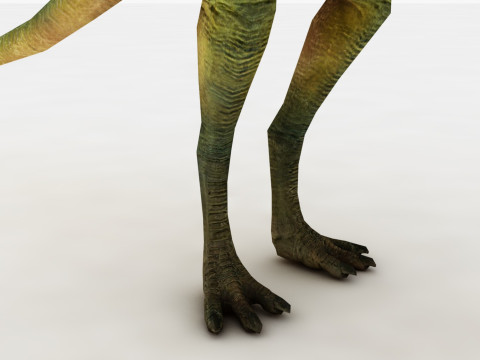 Compsognathus Model 3D