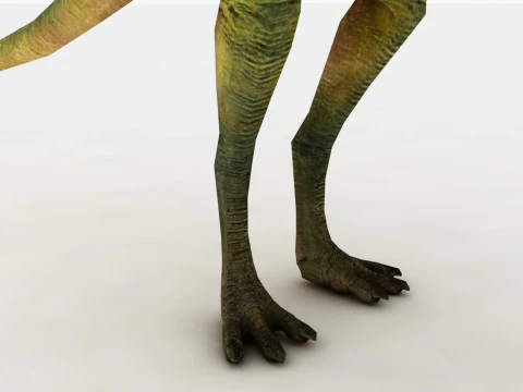 Compsognathus 3D Model