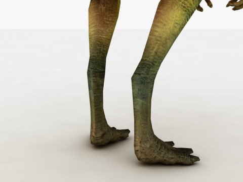 Compsognathus Model 3D