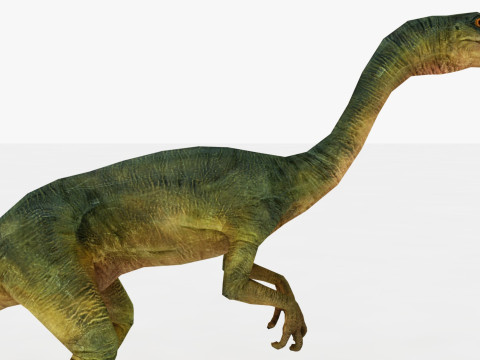 Compsognathus Model 3D