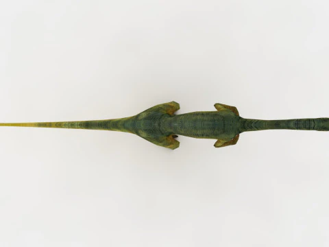 Compsognathus 3D Model