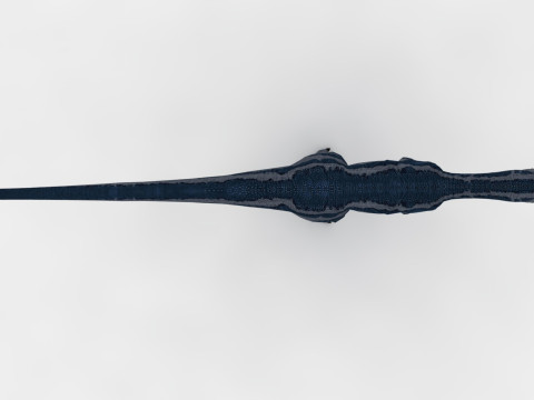 2 in 1 Cryolophosaurus Rigged and Animated 3D Модель