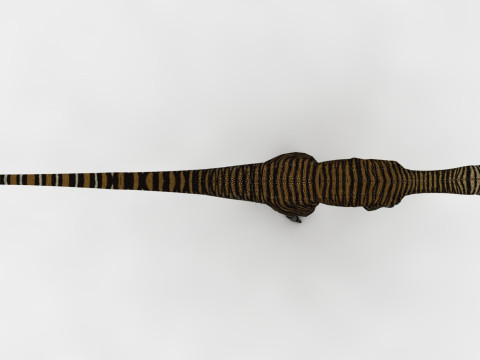 2 in 1 Cryolophosaurus Rigged and Animated 3D Модель
