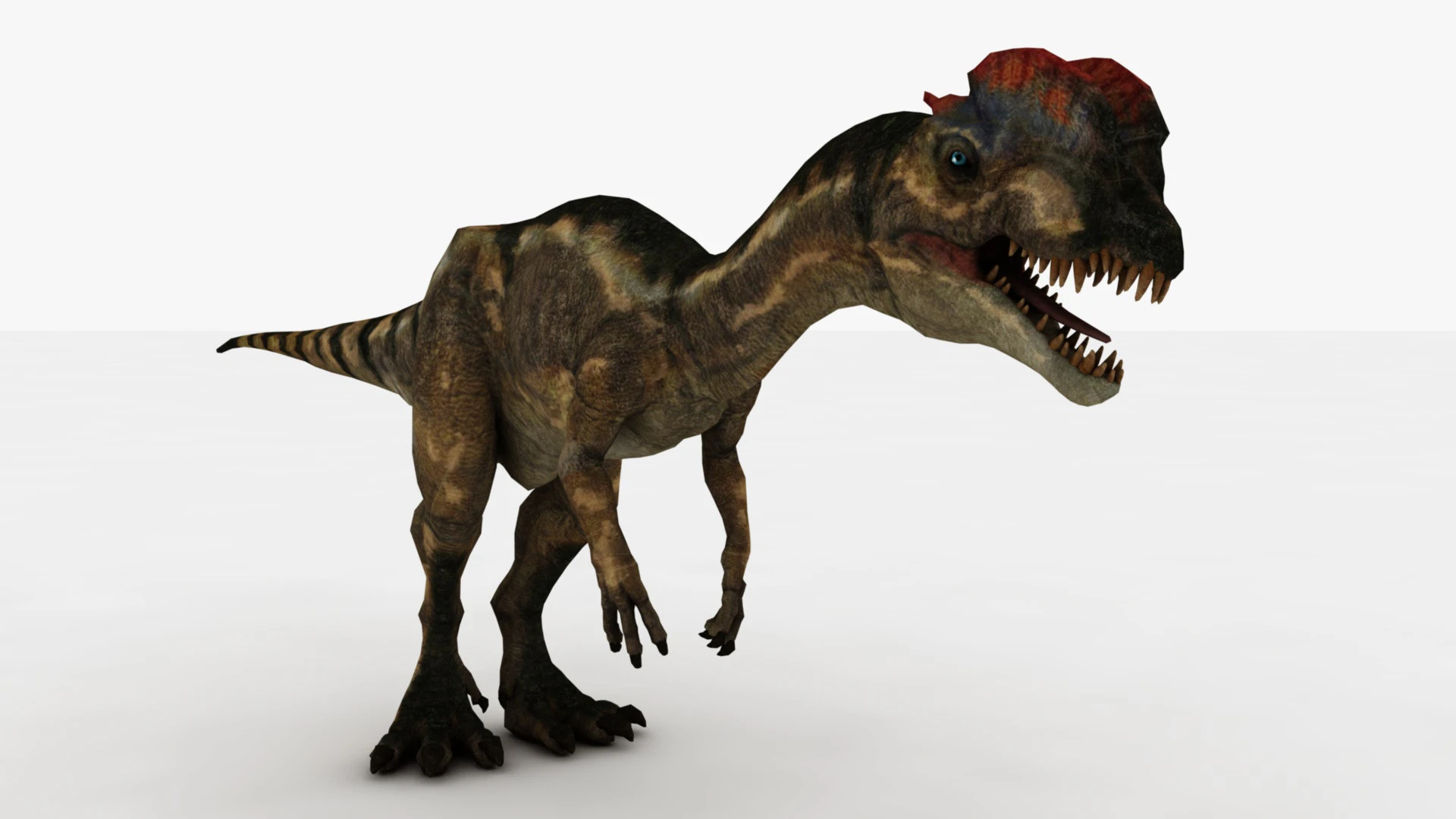 Dilophosaurus Rigged and Animated 3D Model .c4d .max .obj .3ds .fbx .stl .blend