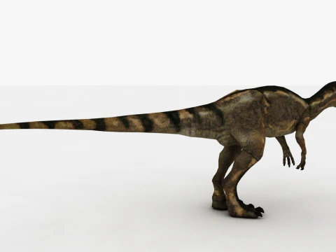 Dilophosaurus Rigged and Animated 3D Model