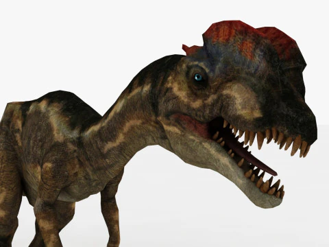 Dilophosaurus Rigged and Animated 3D Model