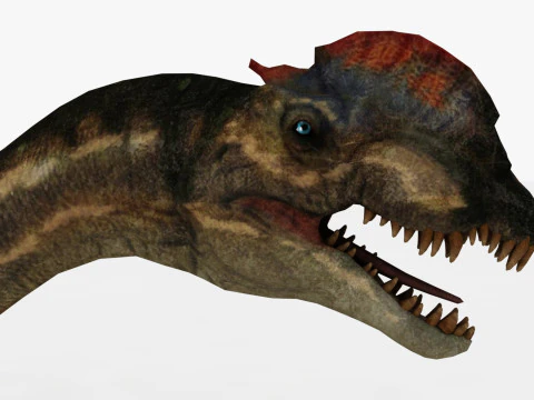 Dilophosaurus Rigged and Animated 3D Model