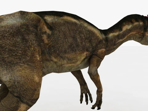 Dilophosaurus Rigged and Animated 3D Model