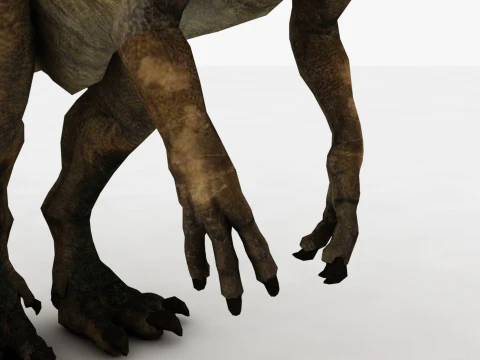 Dilophosaurus Rigged and Animated 3D Model