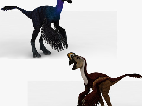 2in1 Oviraptor Rigged and Animated 3D-Modell