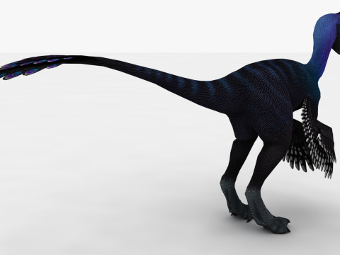2in1 Oviraptor Rigged and Animated Model 3D