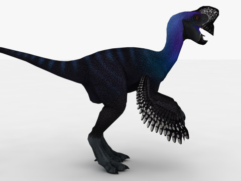 2in1 Oviraptor Rigged and Animated Model 3D
