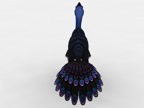 2in1 Oviraptor Rigged and Animated Model 3D