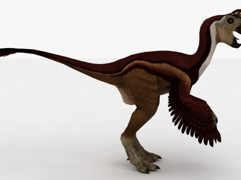 2in1 Oviraptor Rigged and Animated Model 3D