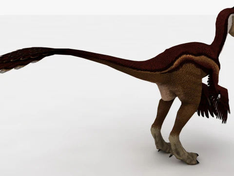 2in1 Oviraptor 조작 및 애니메이션 3D 모델