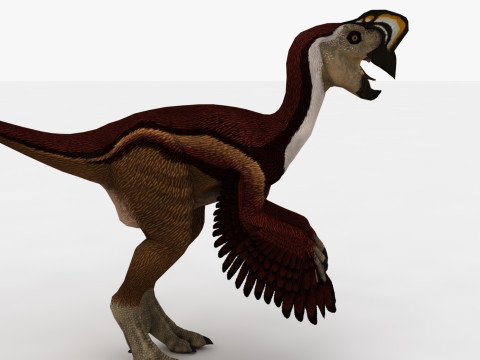 2in1 Oviraptor Rigged and Animated Model 3D