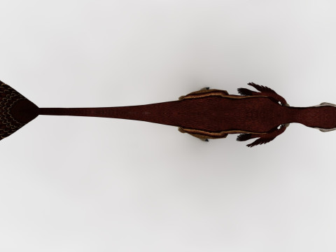 2in1 Oviraptor Rigged and Animated Model 3D
