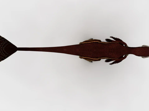 2in1 Oviraptor 조작 및 애니메이션 3D 모델