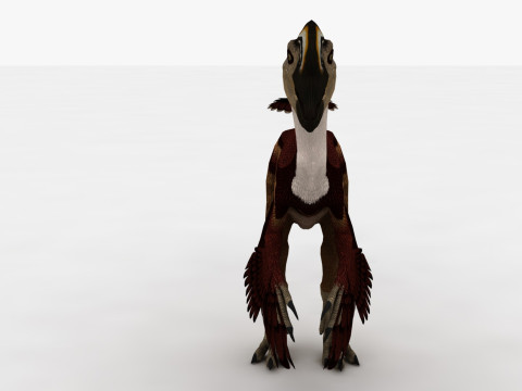 2in1 Oviraptor Rigged and Animated Model 3D