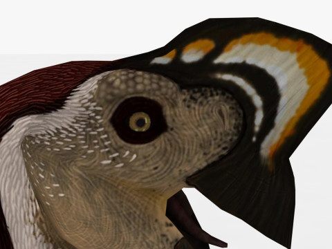 2in1 Oviraptor Rigged and Animated Model 3D