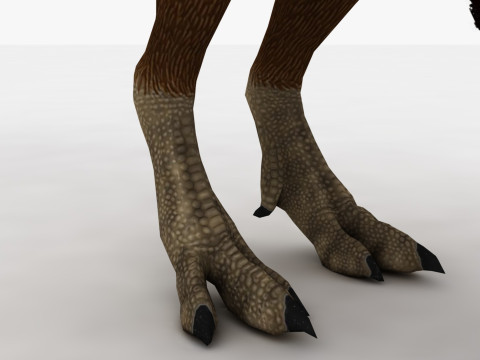 2in1 Oviraptor Rigged and Animated Model 3D