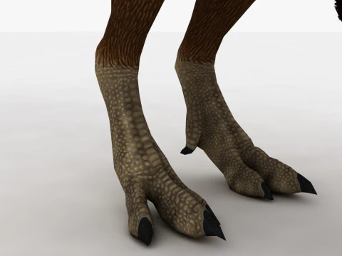 2in1 Oviraptor 조작 및 애니메이션 3D 모델