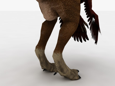 2in1 Oviraptor Rigged and Animated Model 3D