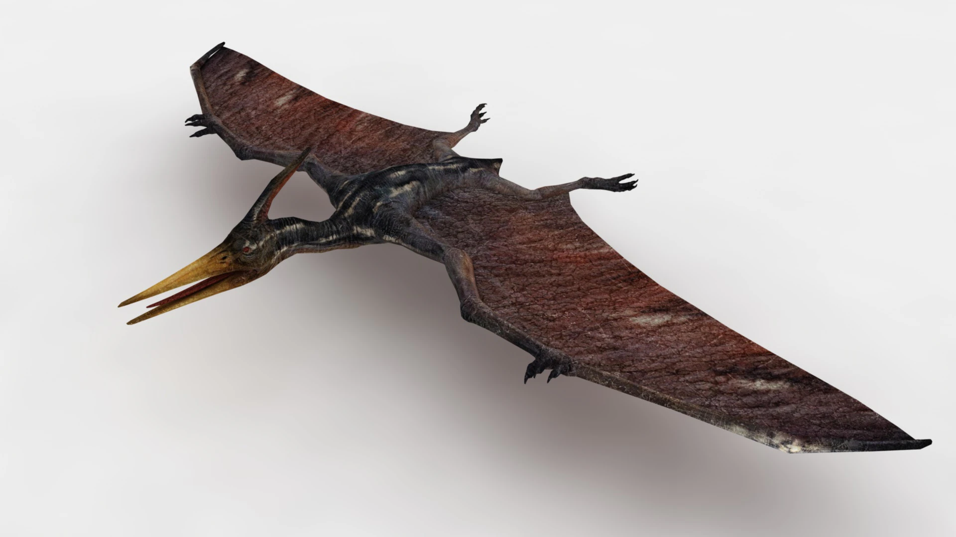 Pterodacty 3D Model .c4d .max .obj .3ds .fbx .stl .blend 