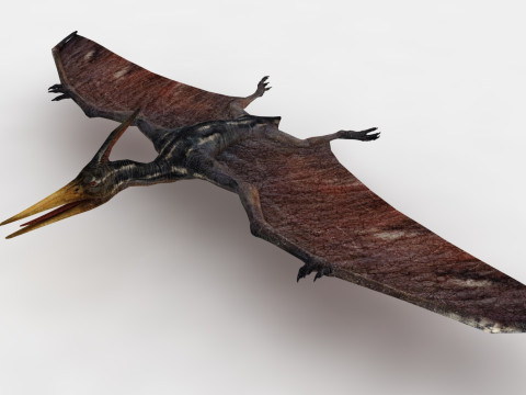 Pterodacty 3D मॉडल