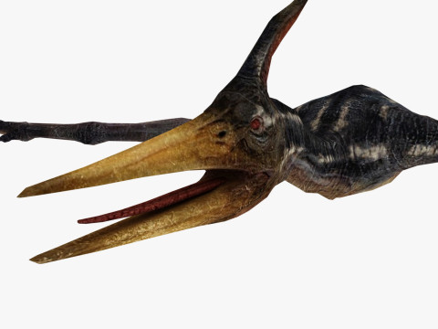 Pterodacty 3Dモデル