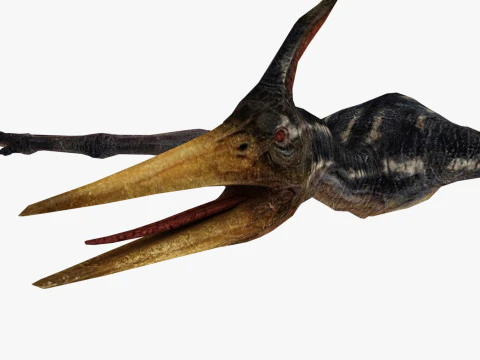 Pterodacty 3D Model