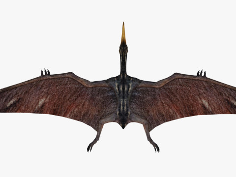 Pterodacty 3Dモデル