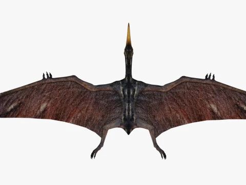 Pterodacty 3D Model