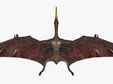 Pterodacty 3Dモデル