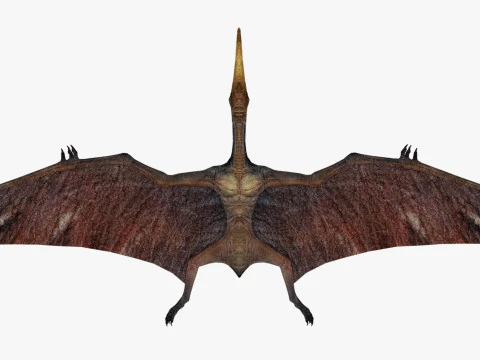 Pterodacty 3D Model