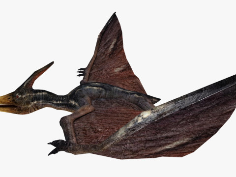 Pterodacty 3Dモデル