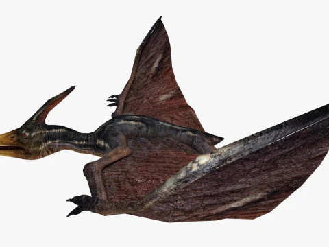 Pterodacty 3D Model