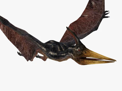 Pterodacty 3D Model