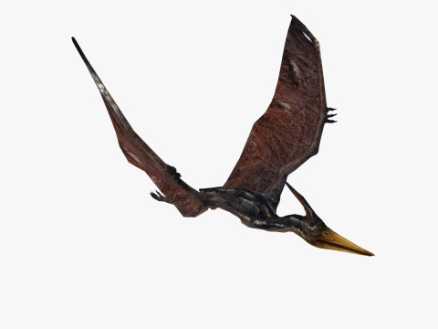 Pterodacty 3Dモデル