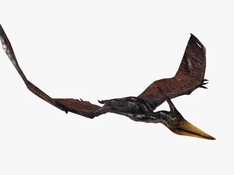Pterodacty 3D Model