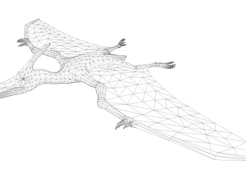 Pterodacty 3D Model
