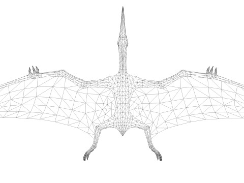 Pterodacty 3Dモデル