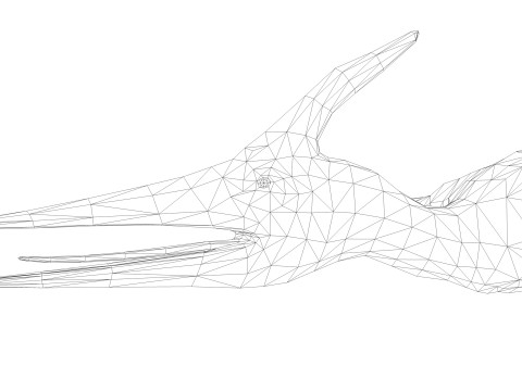 Pterodacty 3Dモデル
