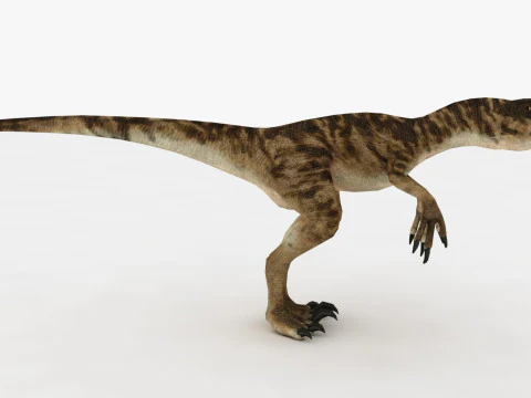 Raptor Dinozor 3D Model